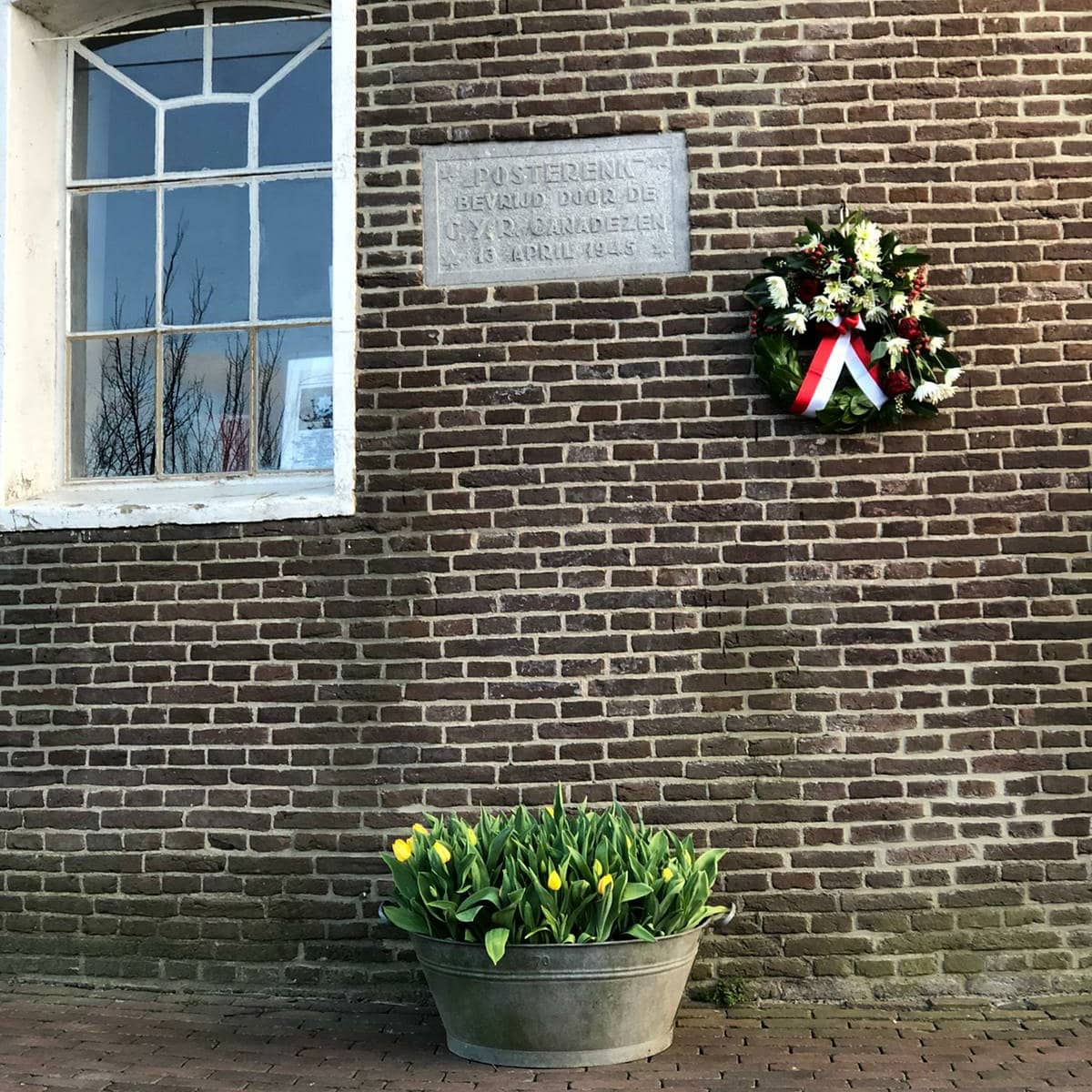 FreedomFlame tulp KijkinPosterenk